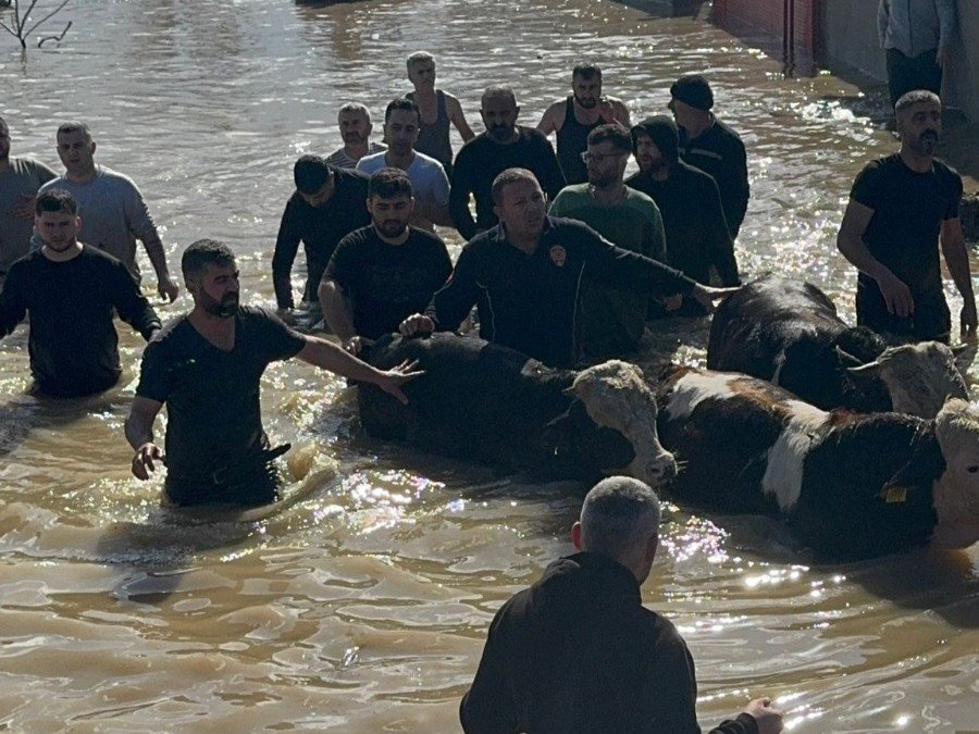 Mahsur kalan 44 kişi ve 127 hayvan kurtarıldı