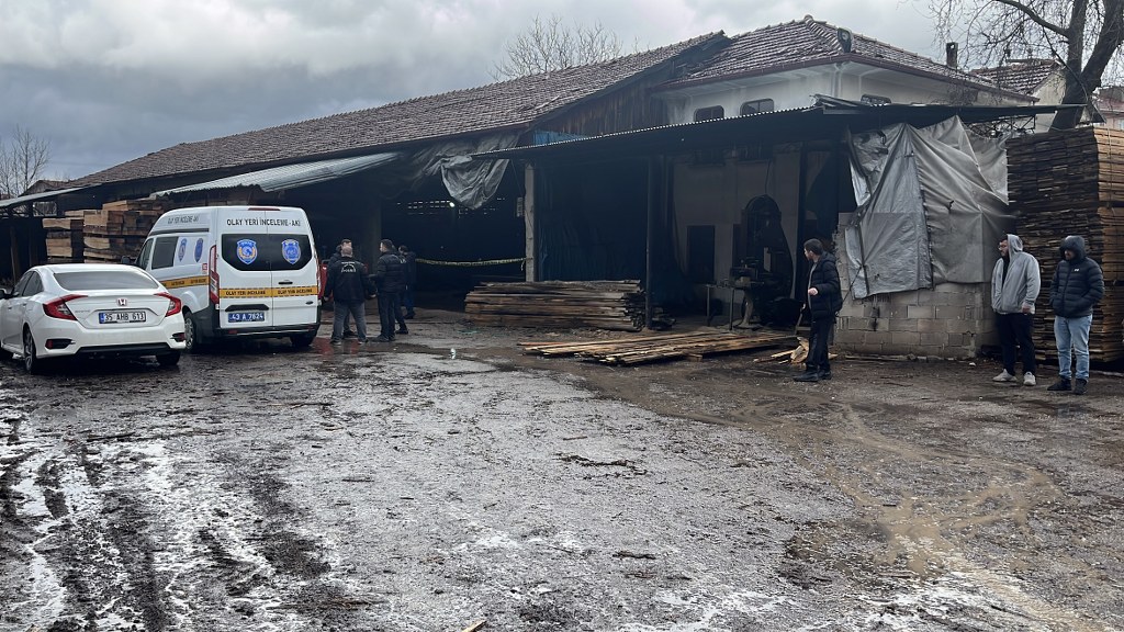 Tomruk biçme makinesinin üstüne düşüp öldü