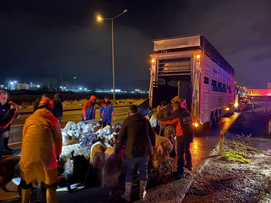 200 hayvan tahliye edildi