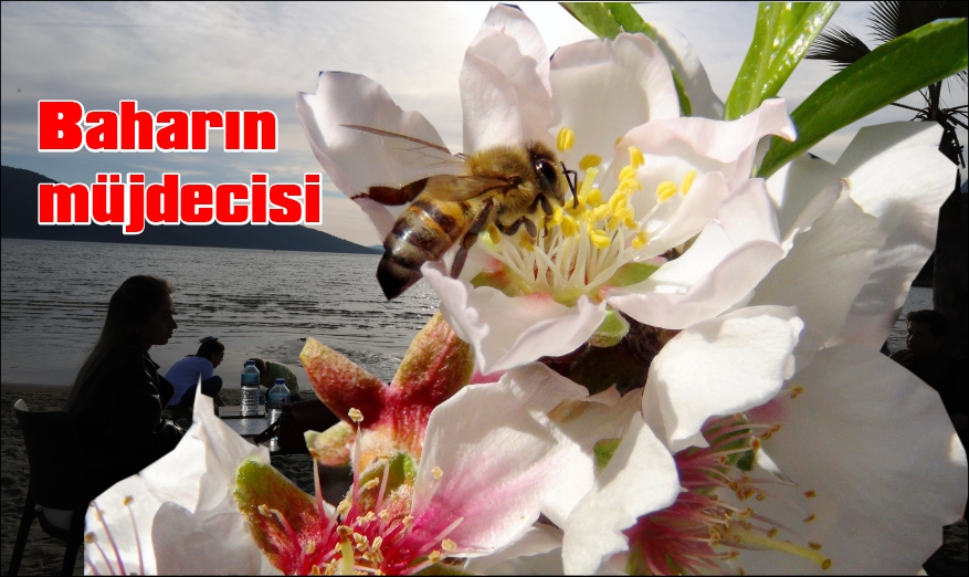 İlk Cemre bugün havaya düştü