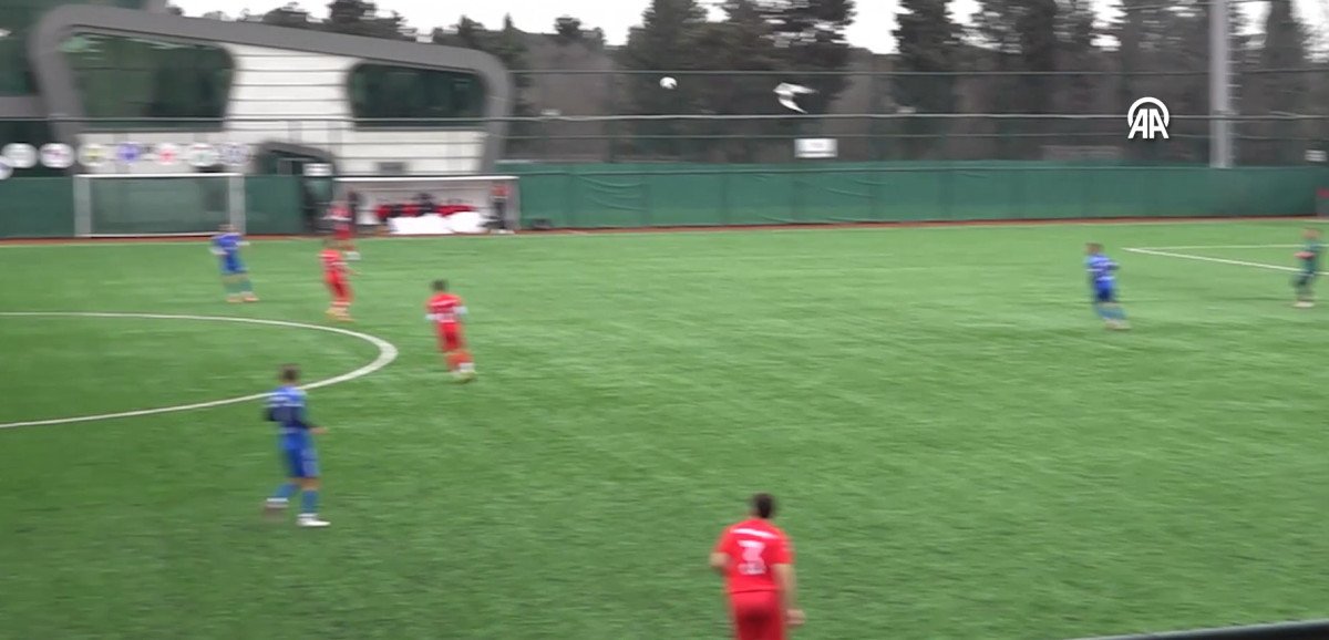 Maç sırasında topun çarptığı martı kalp masajıyla hayata döndürüldü