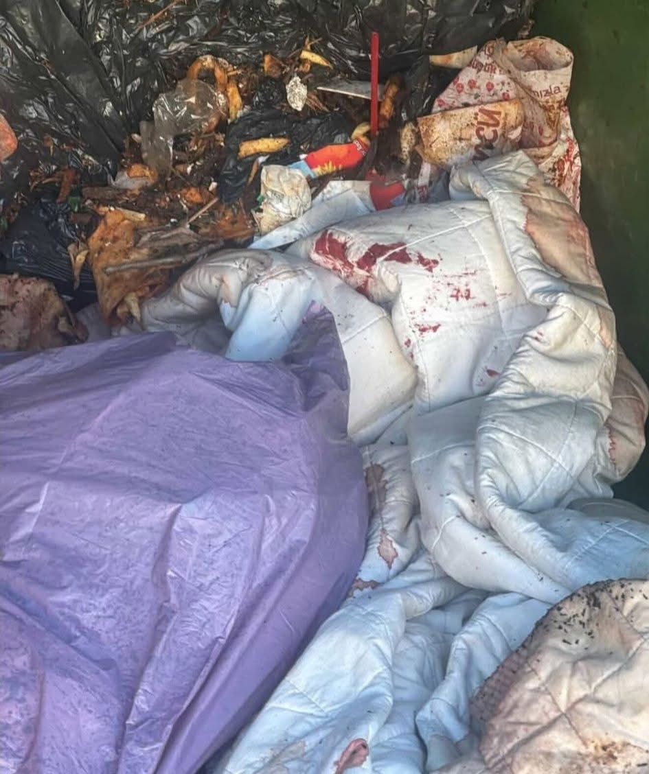 Fethiye’de bıçaklanarak öldürülen köpek ile ilgili soruşturma başlatıldı