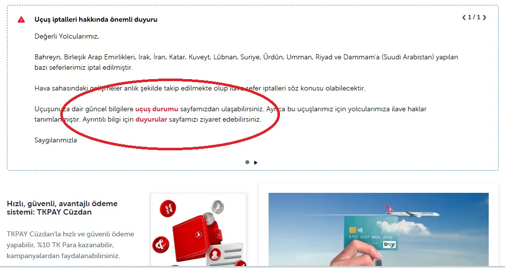 227 uçuş iptal edildi