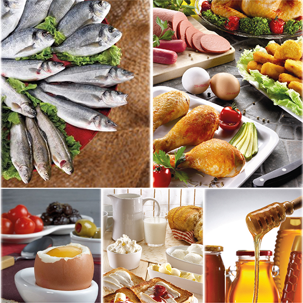 Ege’nin Şubat ihracatı 1 milyar 472 milyon dolar