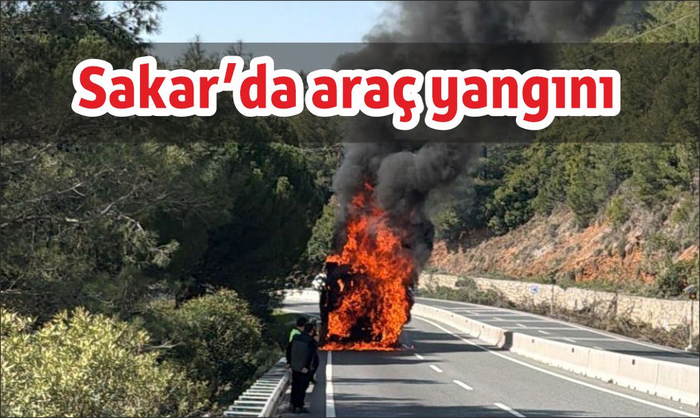 Ekipler Ormana Sıçramadan Söndürdü