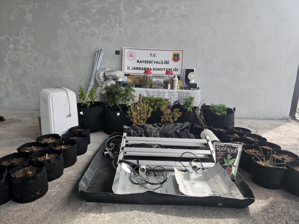 Evinde uyuşturucu yetiştiren şüpheli gözaltına alındı