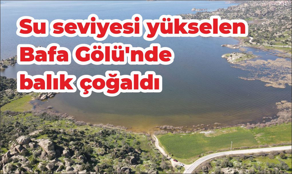  Bafa Gölü yağışlarla eski haline dönmeye başladı