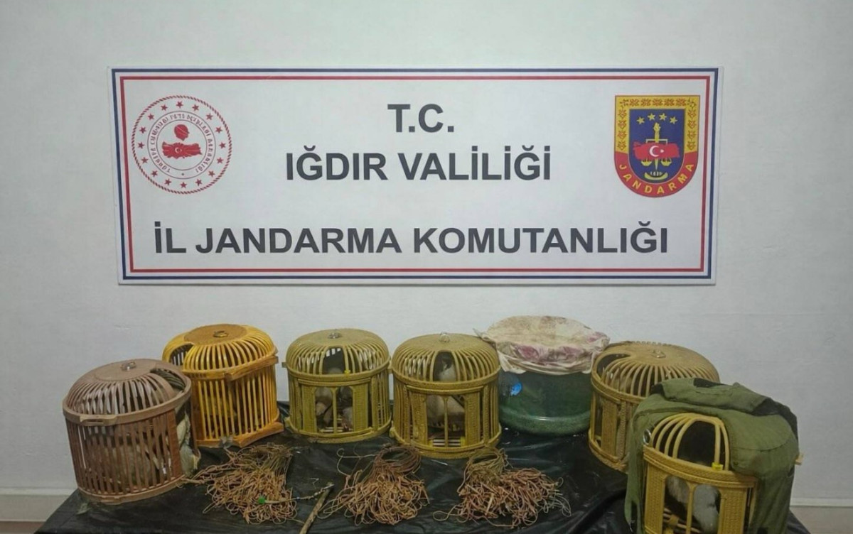 Kaçak keklik avcılarına 175 bin TL ceza