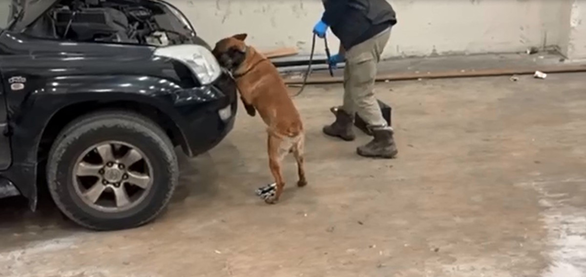 Bulgar plakalı araçtan kokain çıktı