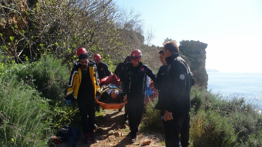  İncir ağacı hayatını kurtardı