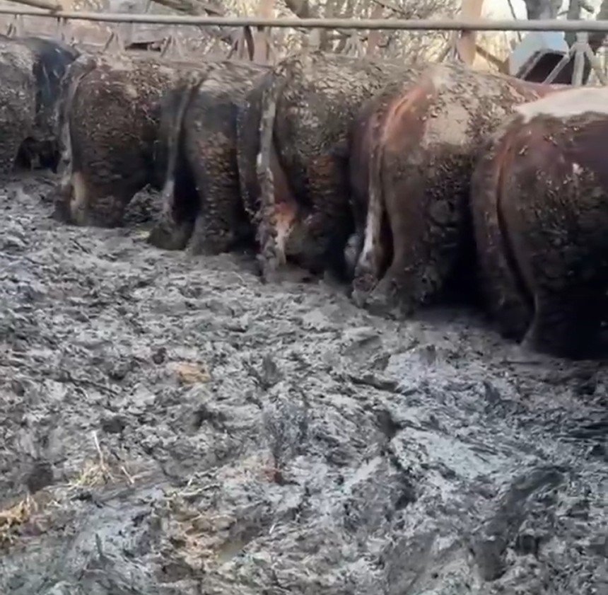 İnceleme başlatıldı