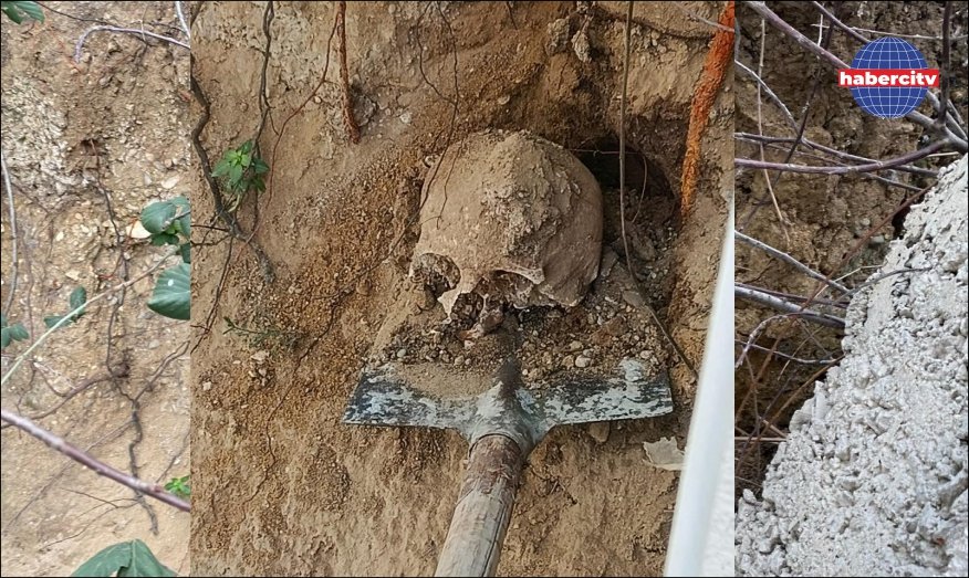  Fidan dikimi sırasında insan kafatası ve kemik parçaları bulundu
