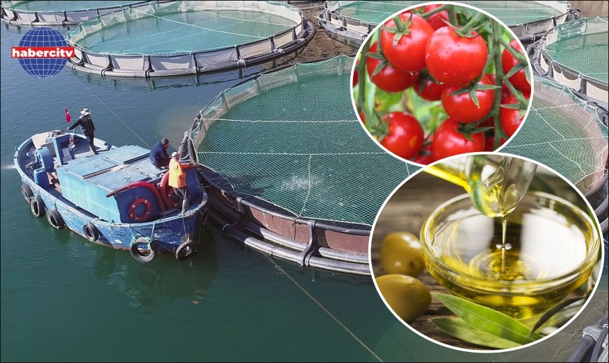 Şubat ayında Muğla ihracatta İstikrarını korudu