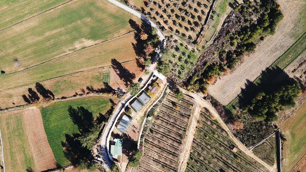 Muğla'da tıbbi  üretim alanı 10 yılda 300 dekardan 6 bin dekara yükseldi