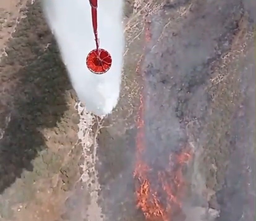 İzmir Foça'da tarım arazisinde başlayan yangın ormana sıçradı