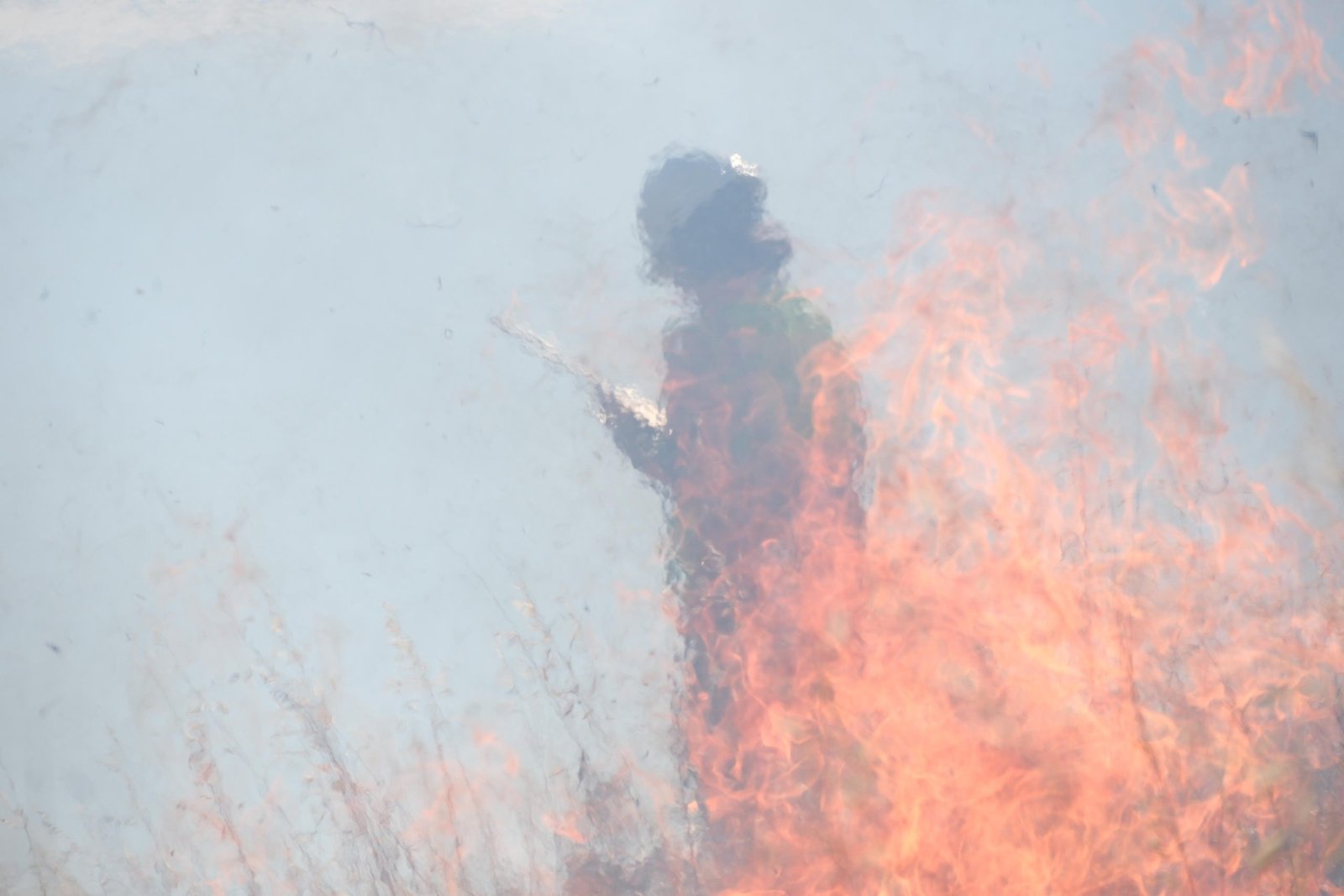 Bodrum’da otluk alanda çıkan yangın 5 dekarlık alanı küle çevirdi