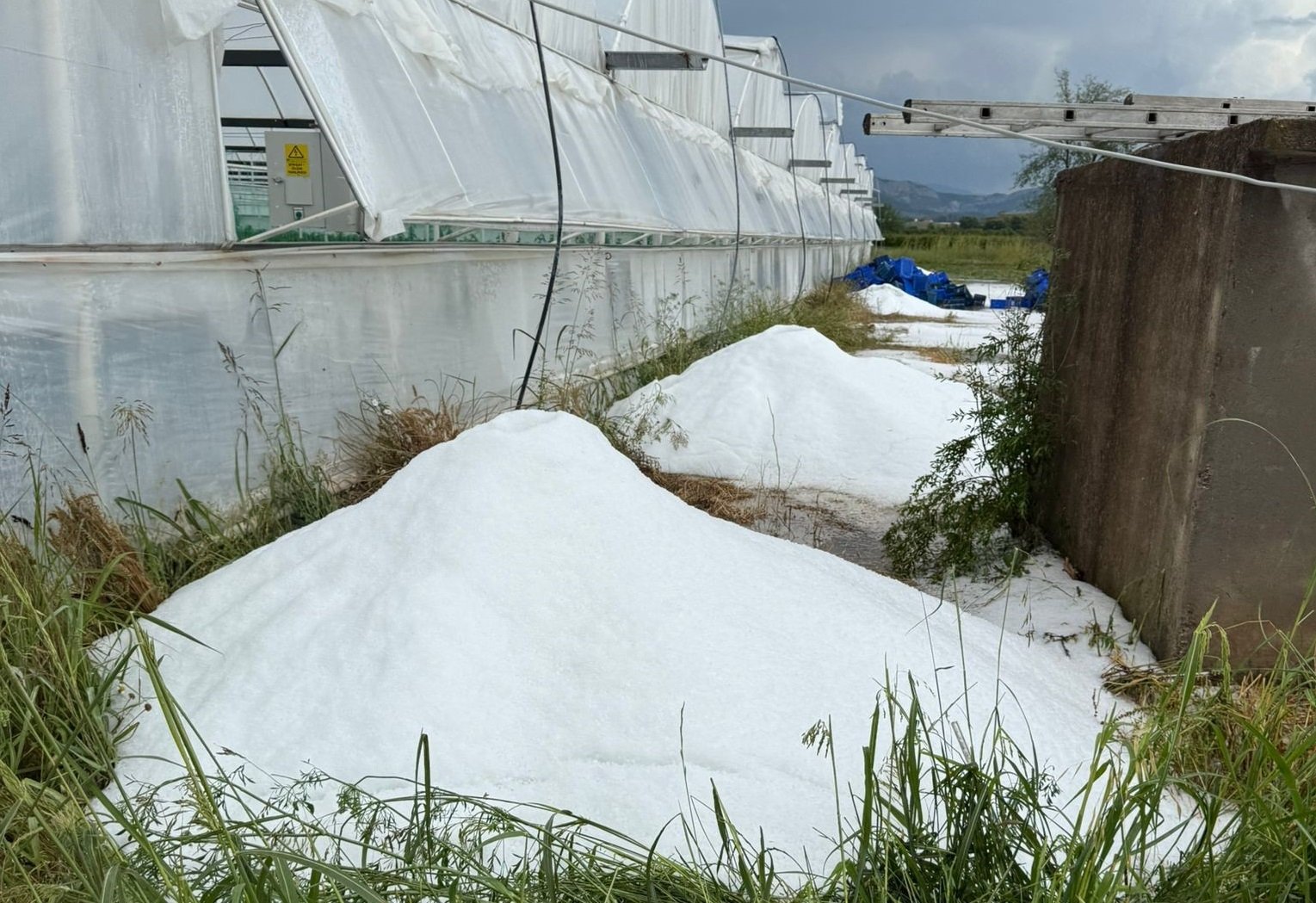 Serik'te sağanak ve dolu tarım arazilerine zarar verdi