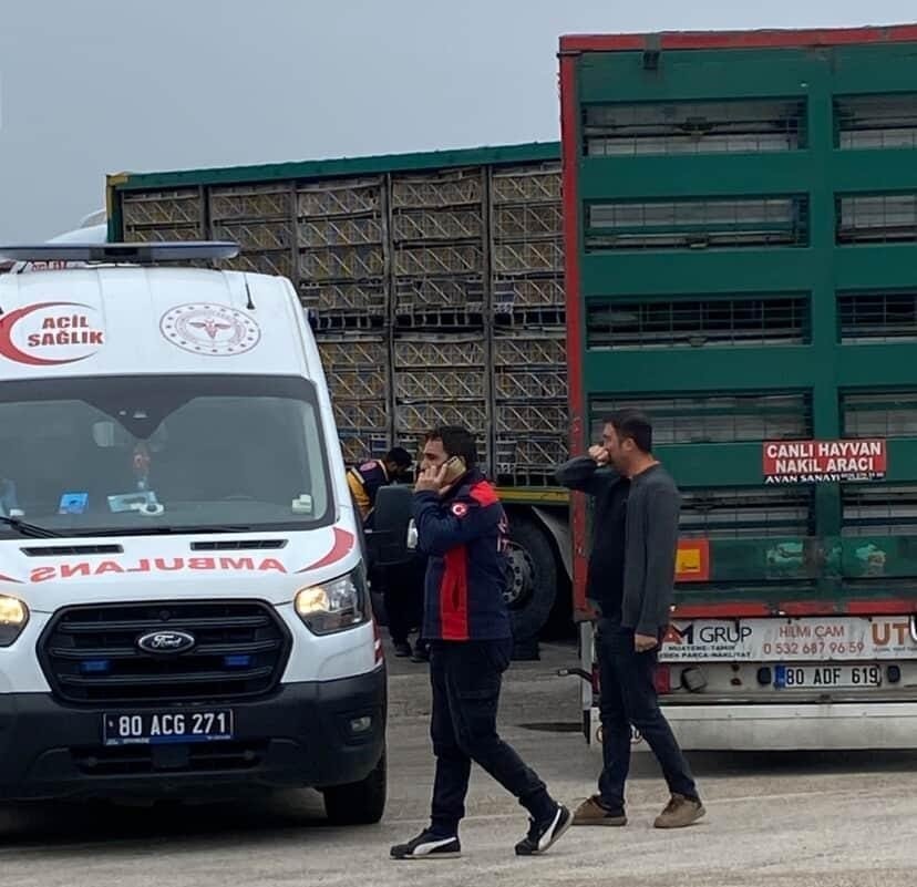 Tırın altında kalan yaşlı adam hayatını kaybetti