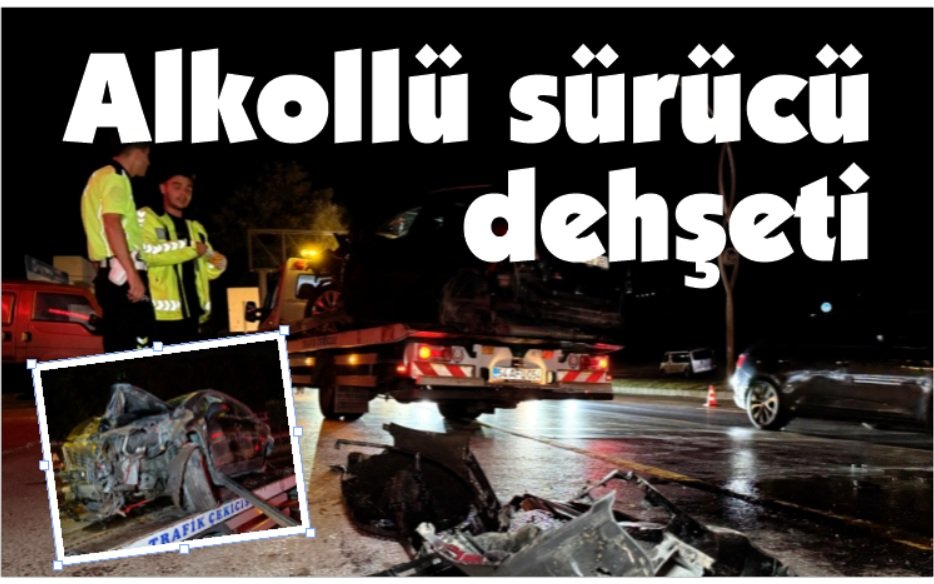 Alkollü sürücü aydınlatma direği, ağaç ve tabelayı devirdi: 1 yaralı