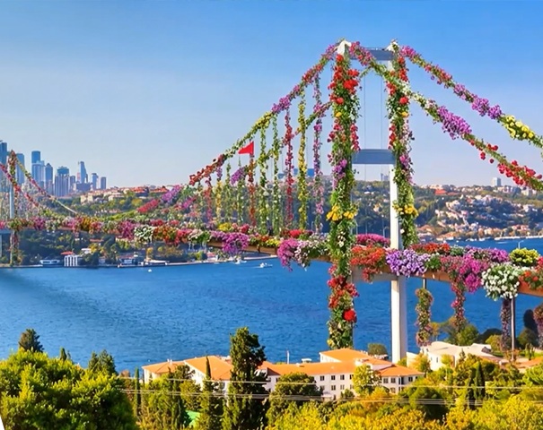 COP31 başkanlığı için paylaşılan video beğenildi