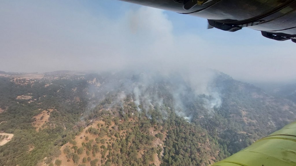 Yangın Denizli’den Aydın’a sıçradı