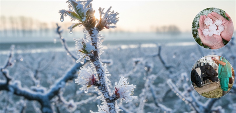 Ekim’de üreticilere 11,6 milyar Lira hasar tazminatı ödendi