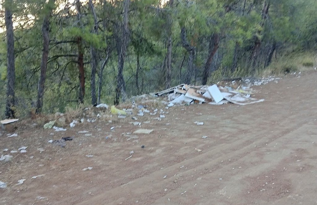 Muhtar Tok: “Dağımızı bu hale getirmeye kimsenin hakkı yok”