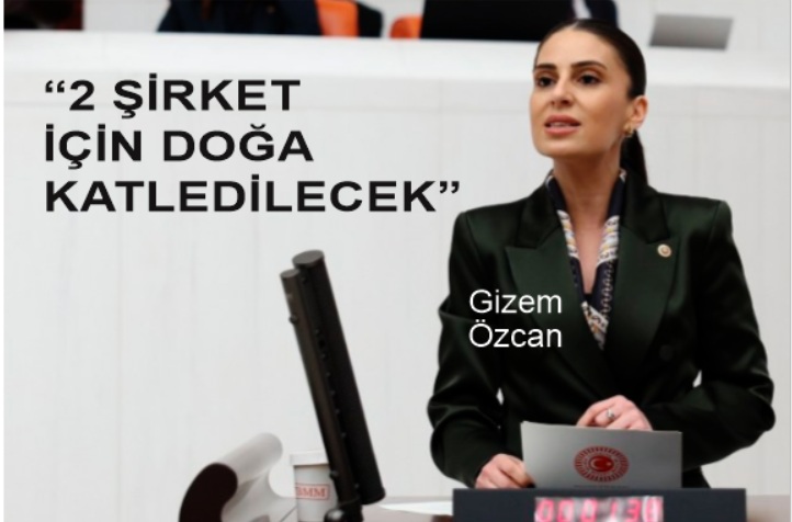 Milletvekili Özcan: ‘Zeytinlikler madencilik için katledilemez!’