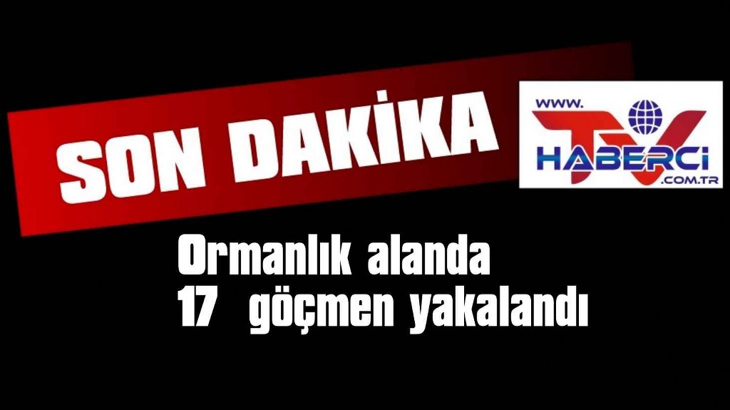 Seydikemer’de ormanlık alanda 17 düzensiz göçmen yakalandı