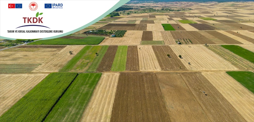 Üreticilere Kasım’da 376,8 milyon Lira ödendi