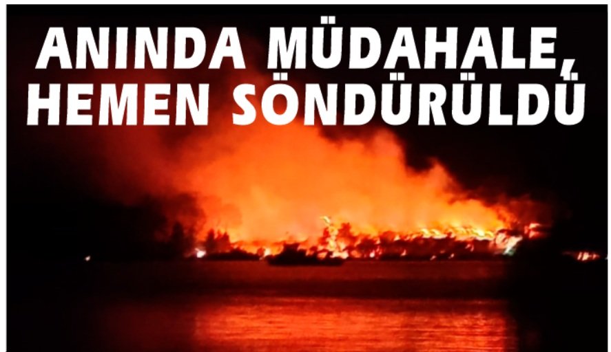 Çıkan orman yangını hızlı müdahale ile hemen söndürüldü