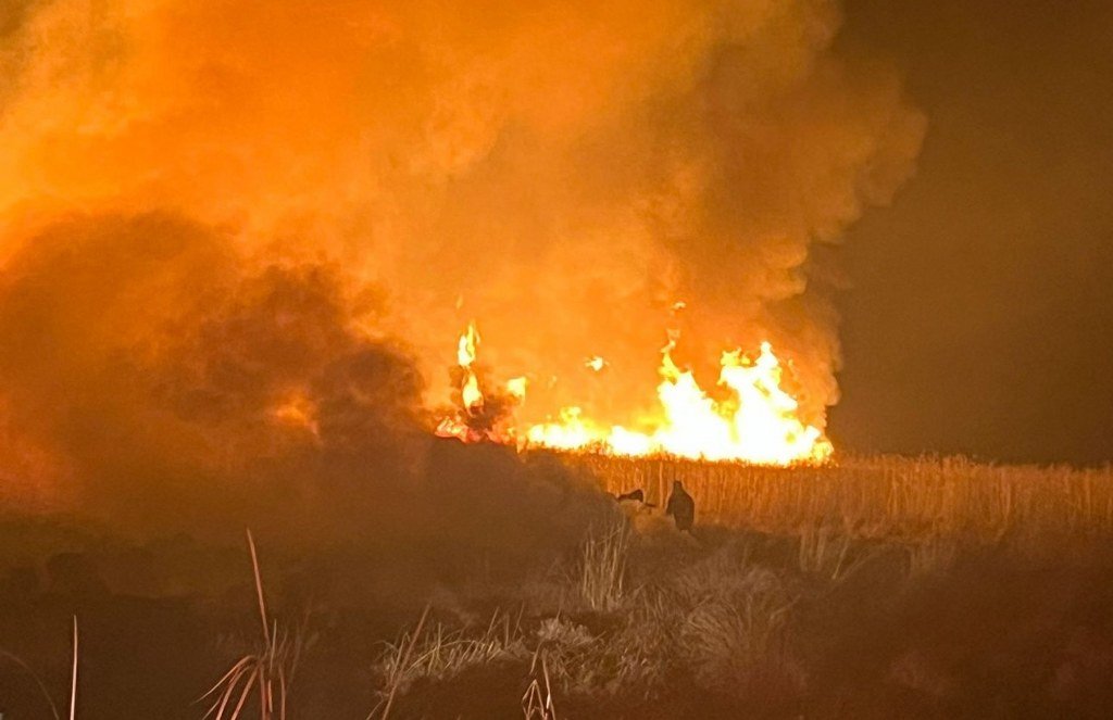 Kuş cenneti Nehil Sazlığı'nda yangın çıktı