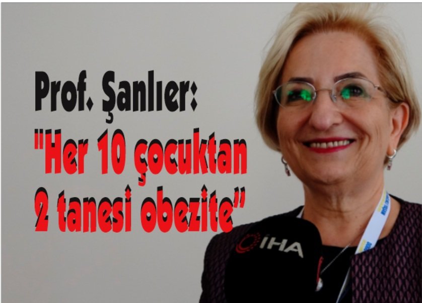 Prof. Dr. Nevin Şanlıer: 
