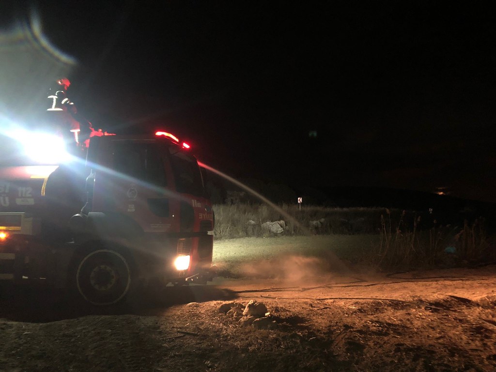 Sazlık alanda yangın