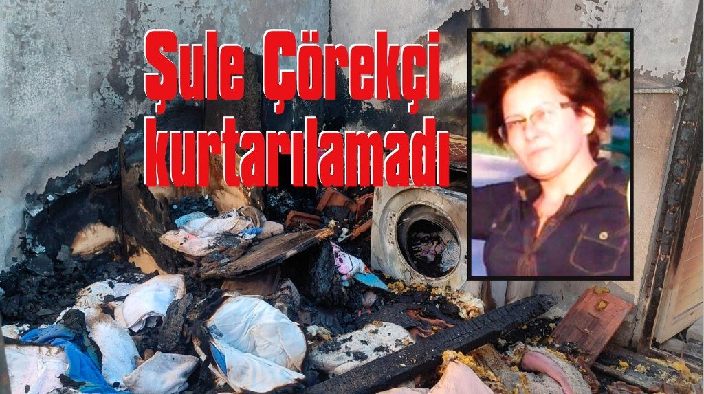 20'den fazla kedisiyle yanarak can verdi