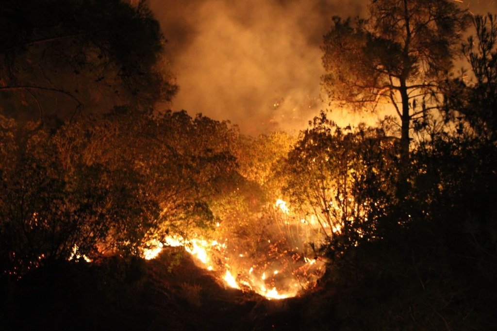 Şiddetli rüzgara rağmen mücadele gece de sürüyor