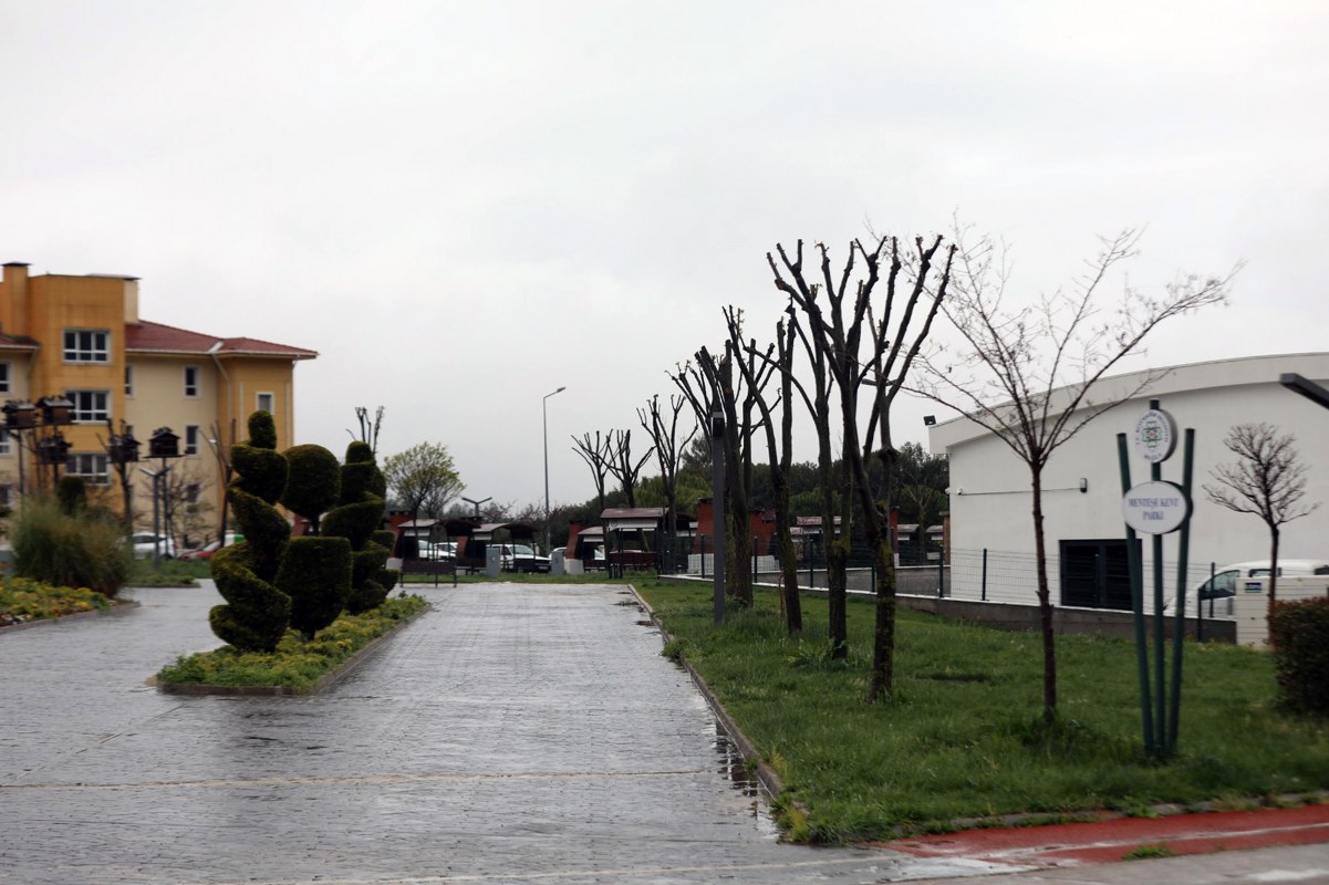 Muğla’da ağaçlara gençlik aşısı