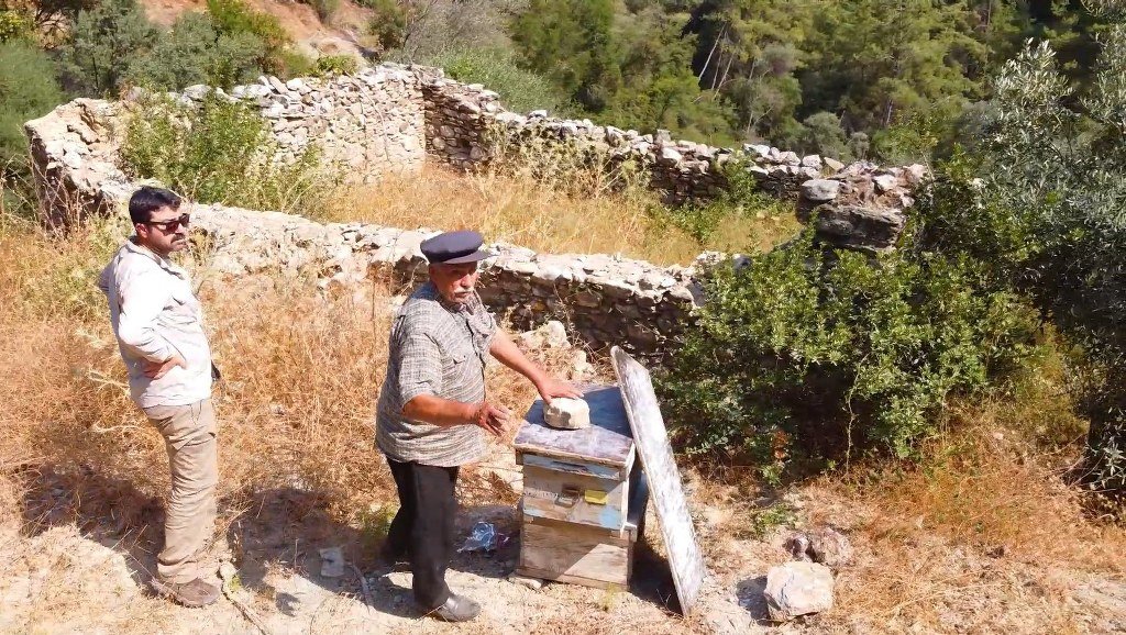 Muğla'da kovan barınakları örnek bir model olacak