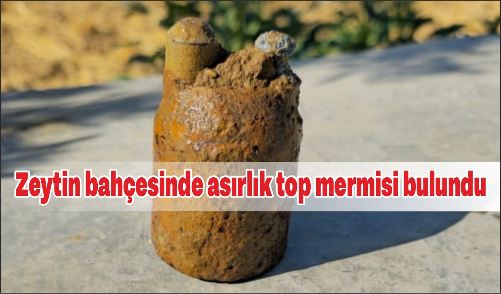 Zeytin bahçesinde asırlık top mermisi bulundu