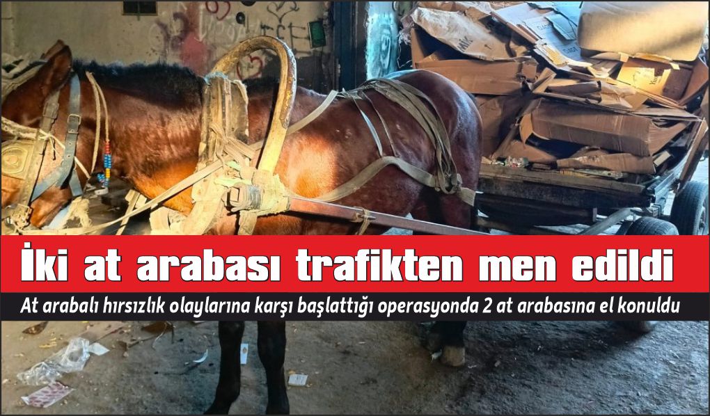 At arabası operasyonu: İki at arabası trafikten men edildi