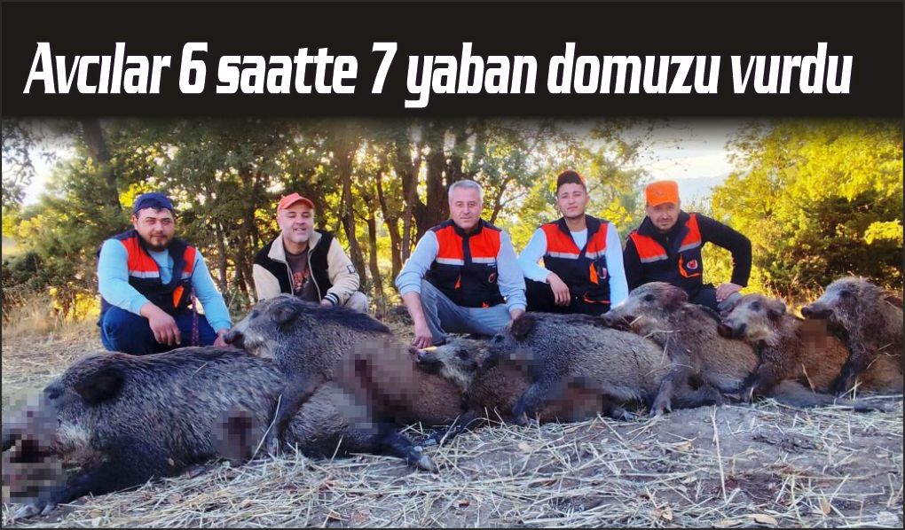 Hisarcıklı avcılar 6 saatte 7 yaban domuzu vurdu