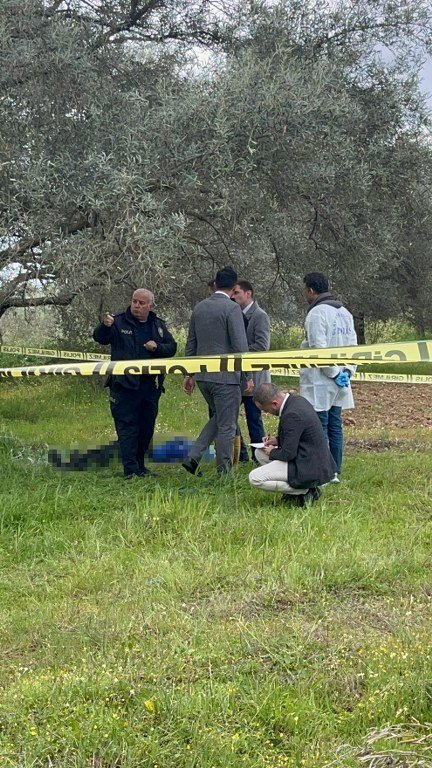 Zeytin bahçesinde cansız bedeni bulundu