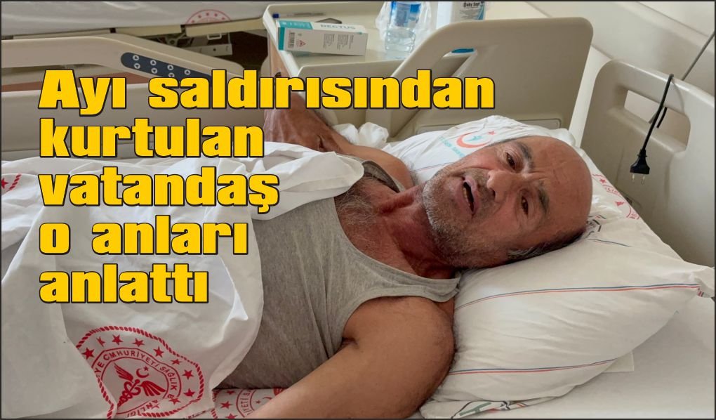 Ayı saldırısına uğradı: Canını ağaca tırmanarak kurtardı