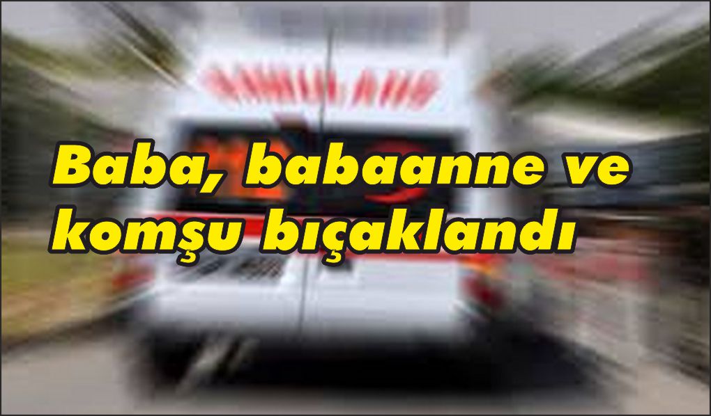 Baba, babaanne ve komşu bıçaklandı