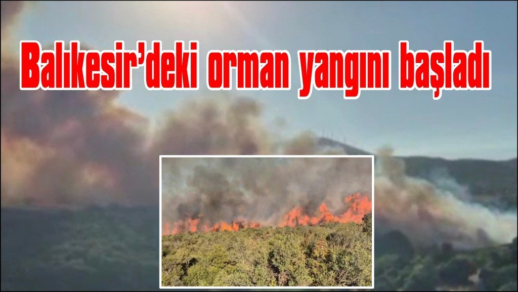 Balıkesir’deki orman yangını