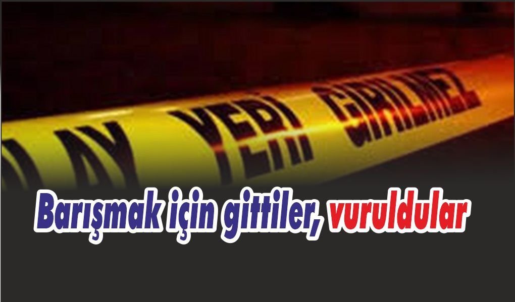 Barışmaya giden aileye saldırı: Anne ve 2 oğlu öldürüldü