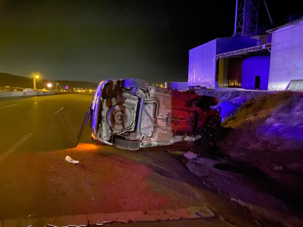 Başıboş eşekler kazaya sebep oldu: 4 yaralı