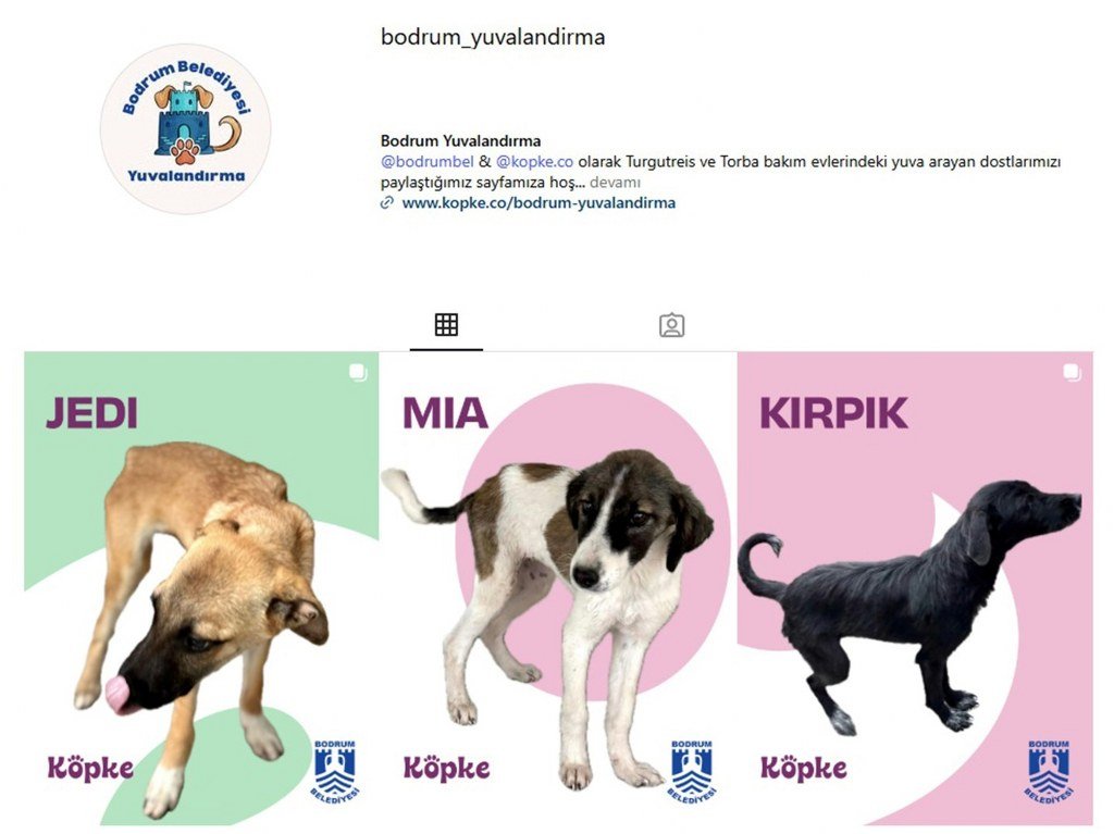 Bodrum Belediyesi Yuvalandırma Platformu hayata geçti