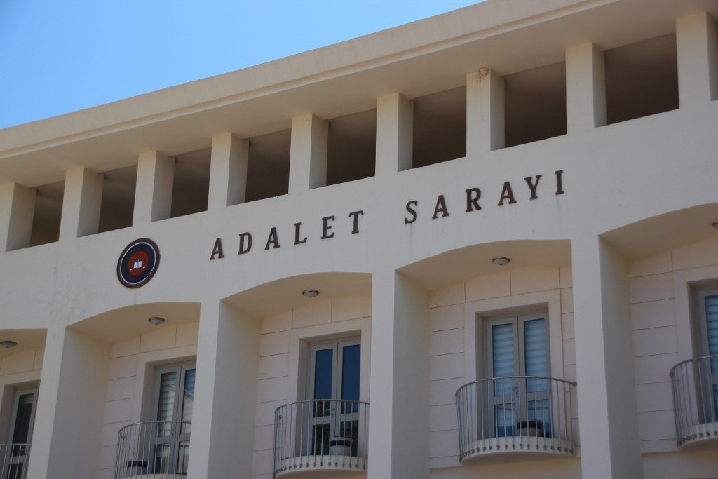 Bodrum’da köpekleri tüfekle vuran şahıs tutuklandı