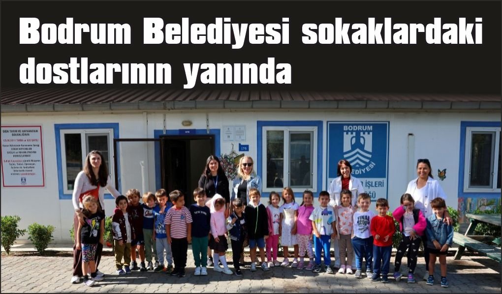 Bodrum Belediyesi sokaklardaki dostlarının yanında